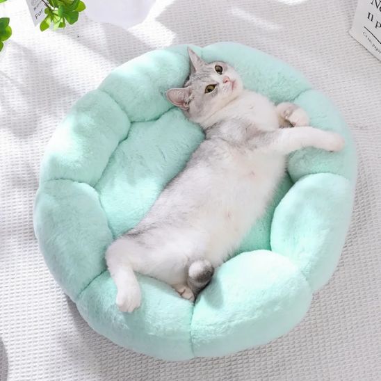 Coussin pour Chat | Doussy™