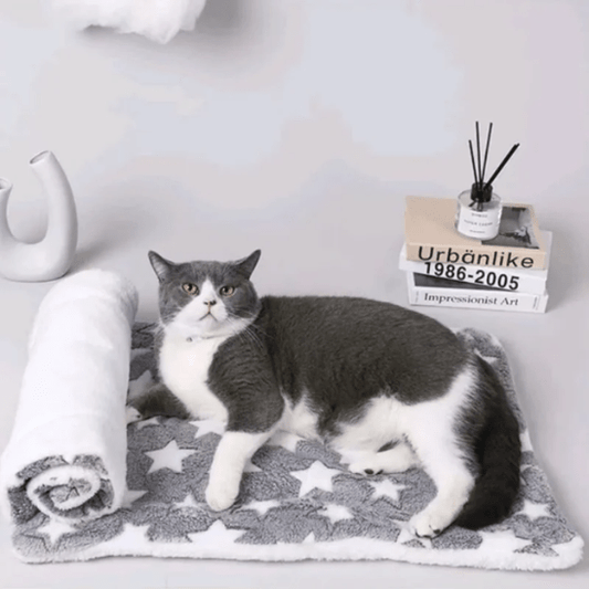 Couverture pour chat | Ticky™ - Ambiance chat