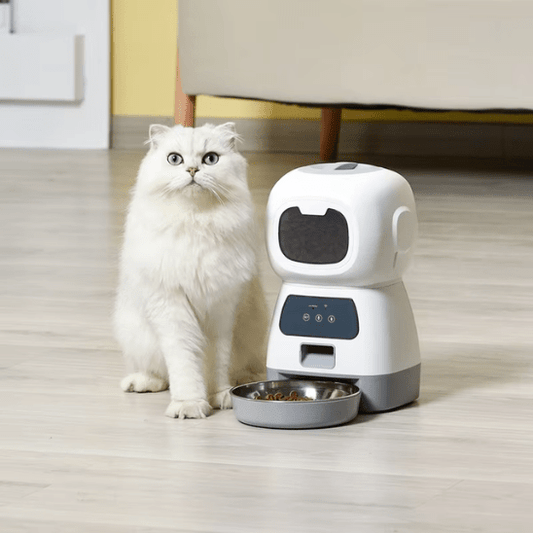 Distributeur de Croquettes Pour Chat | Roby™ - Ambiance chat