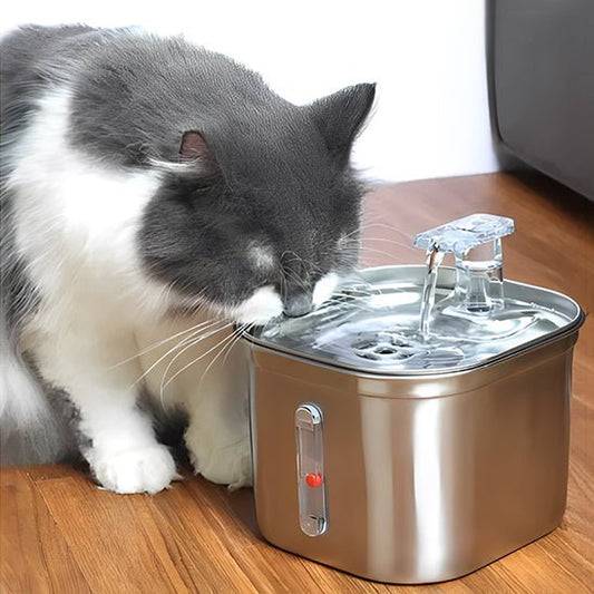 Fontaine a Eau Chat | Cuby™ - Ambiance chat