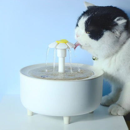 Fontaine a eau Chat | Flovy™ - Ambiance chat
