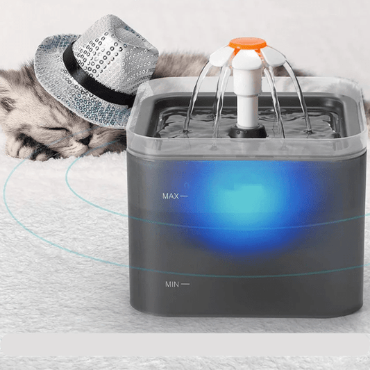 Fontaine a eau chat | Flowyâą - Ambiance chat
