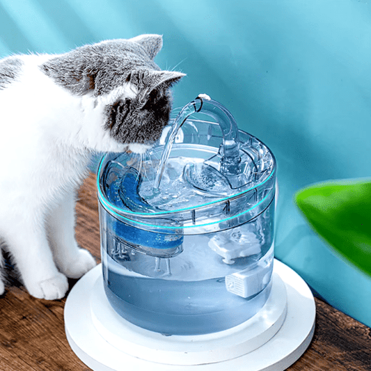 Fontaine a eau chat | Glassy™ - Ambiance chat
