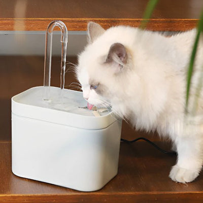 Fontaine a eau chat | Hiflo™ - Ambiance chat