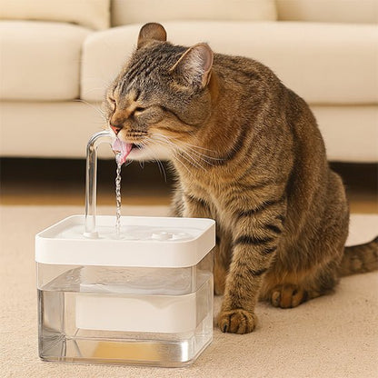 Fontaine a eau chat | Hiflo™ - Ambiance chat