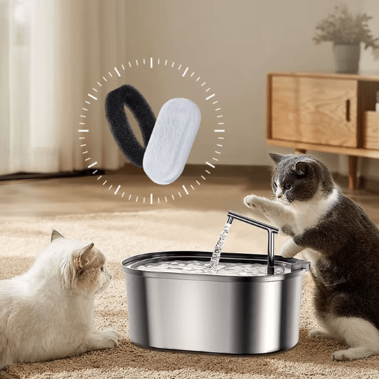 Fontaine a Eau Chat | Showy™ - Ambiance chat