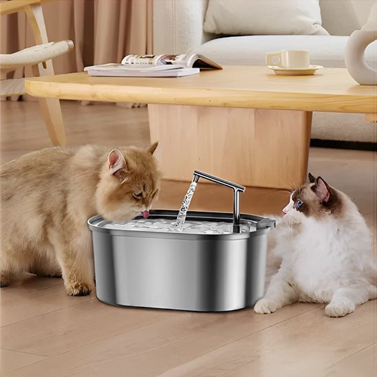 Fontaine a Eau Chat | Showy™ - Ambiance chat