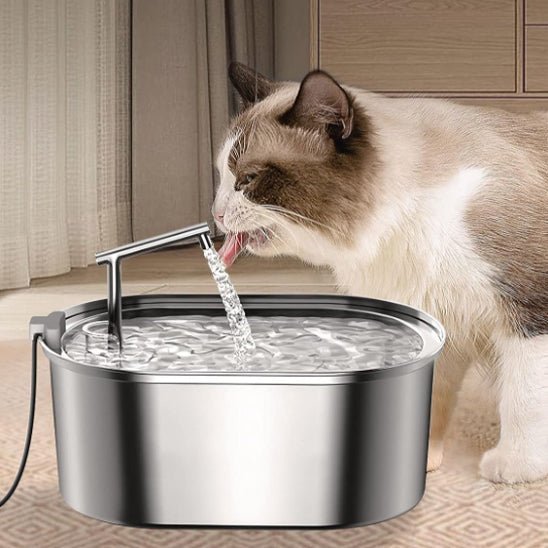 Fontaine a Eau Chat | Showy™ - Ambiance chat