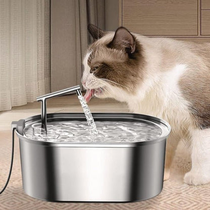 Fontaine a Eau Chat | Showy™ - Ambiance chat
