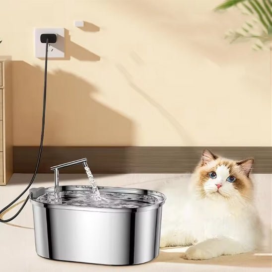 Fontaine a Eau Chat | Showy™ - Ambiance chat