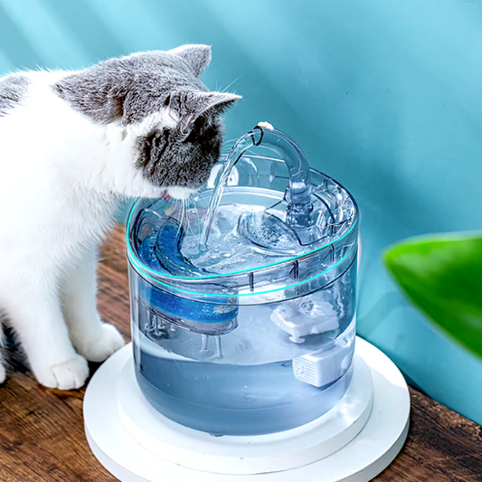 Fontaine a eau chat | Glassy™