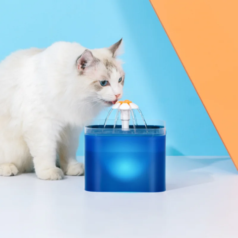 Fontaine a eau chat | Flowy™