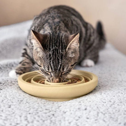 Gamelle Anti - Glouton Chat | Circly™ - Ambiance chat