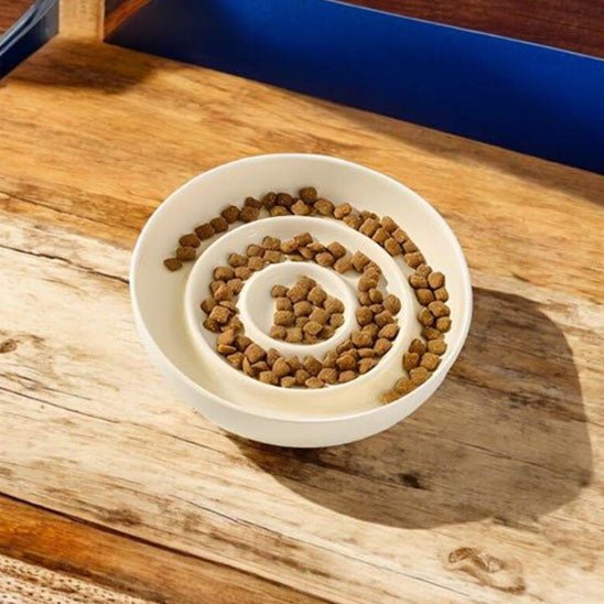 Gamelle Anti - Glouton Chat | Circly™ - Ambiance chat