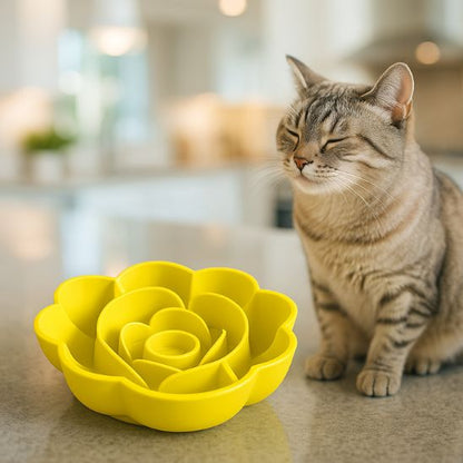 Gamelle anti - glouton chat | Flory™ - Ambiance chat