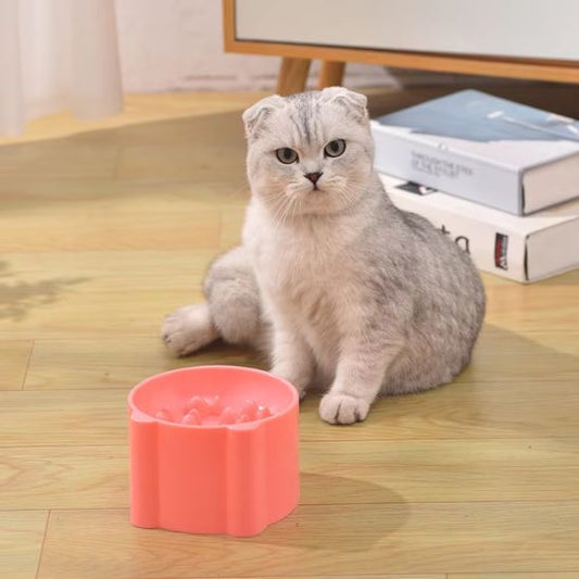 Gamelle Anti Glouton Chat | Hilow™