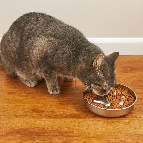 Gamelle Anti - Glouton Chat | Pawsy™ - Ambiance chat
