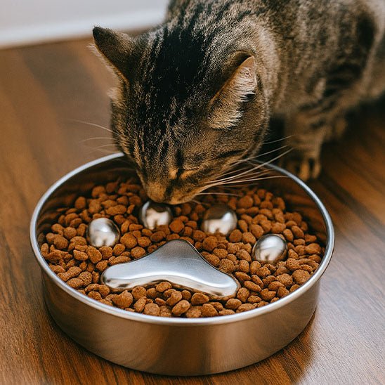 Gamelle Anti - Glouton Chat | Pawsy™ - Ambiance chat
