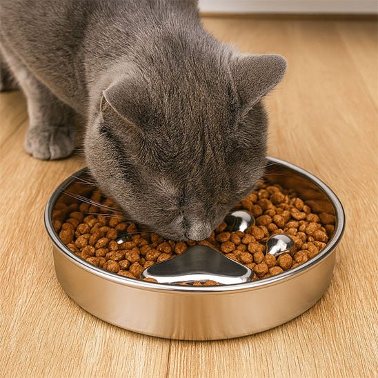 Gamelle Anti - Glouton Chat | Pawsy™ - Ambiance chat