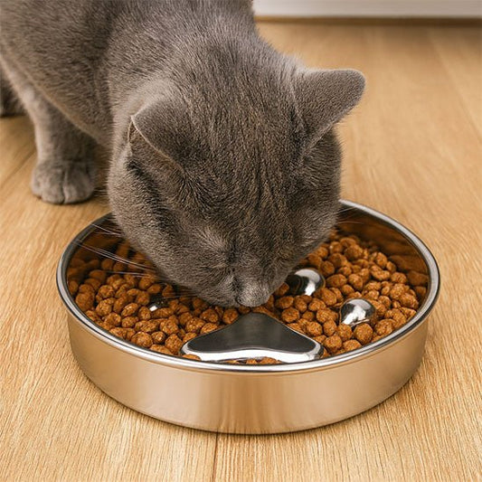 Gamelle Anti - Glouton Chat | Pawsy™ - Ambiance chat
