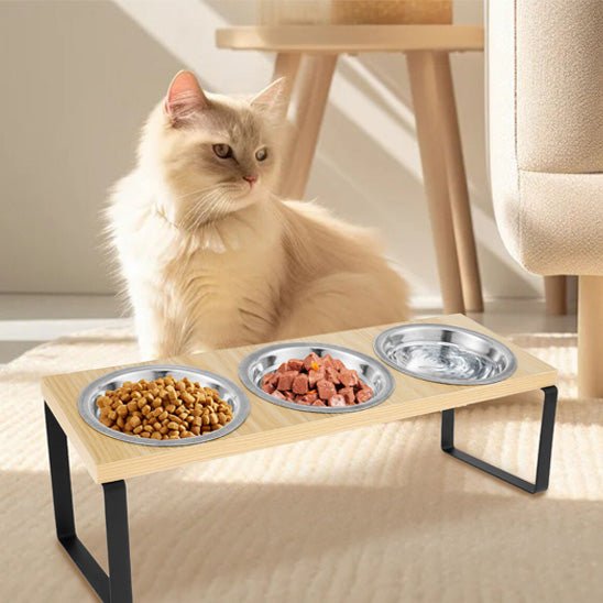 Gamelle Chat | Perly™ - Ambiance chat