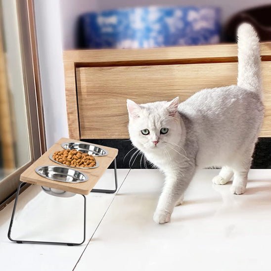 Gamelle Chat | Perly™ - Ambiance chat