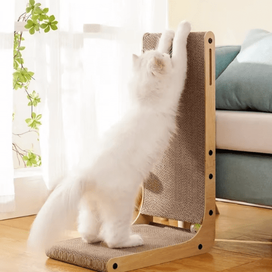 Griffoir Chat | Helly™ - Ambiance chat