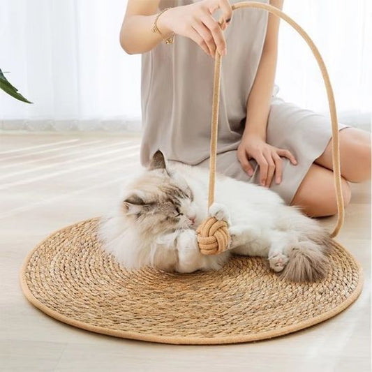Griffoir Chat | Roundy™ - Ambiance chat