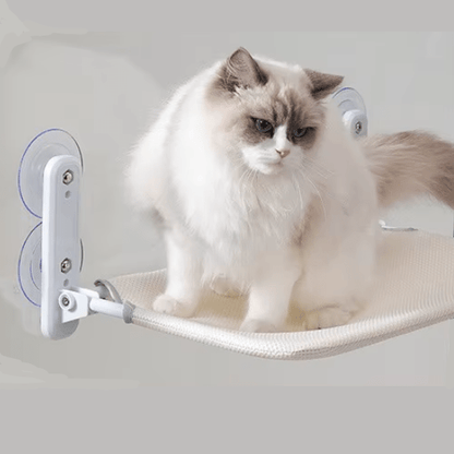 Hamac pour chat | Dissim™ - Ambiance chat