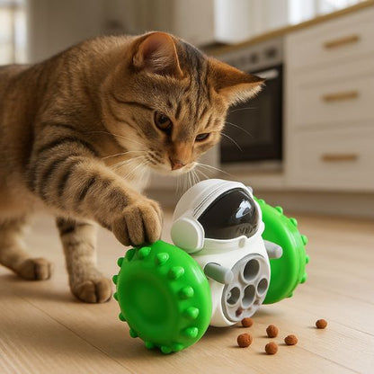 Jouet pour Chat | Budhy™ - Ambiance chat