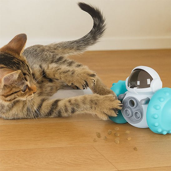 Jouet pour Chat | Budhy™ - Ambiance chat