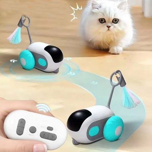 Jouet pour chat | Cartyâą - Ambiance chat