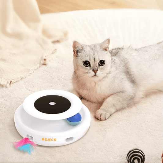 Jouet pour Chat | Findyâą - Ambiance chat