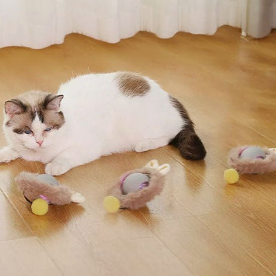 Jouet pour Chat | Fitty™ - Ambiance chat