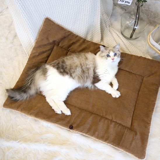 Lit pour chat | Blanky™