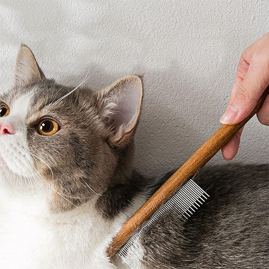 Peigne anti poux | Komby™ - Ambiance chat
