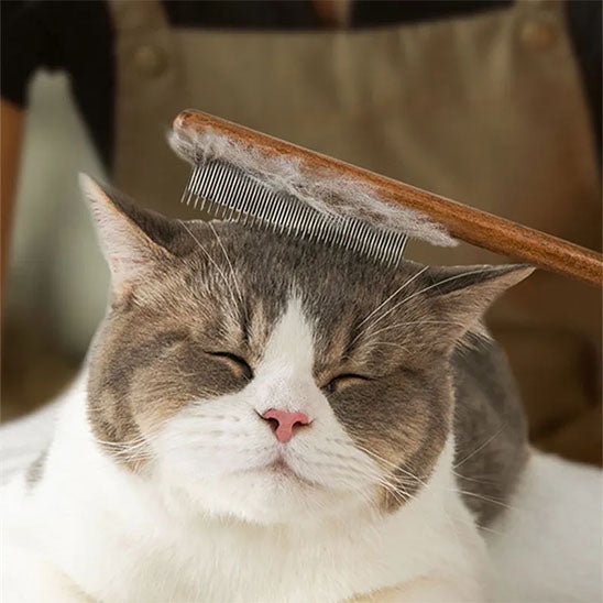 Peigne anti poux | Komby™ - Ambiance chat