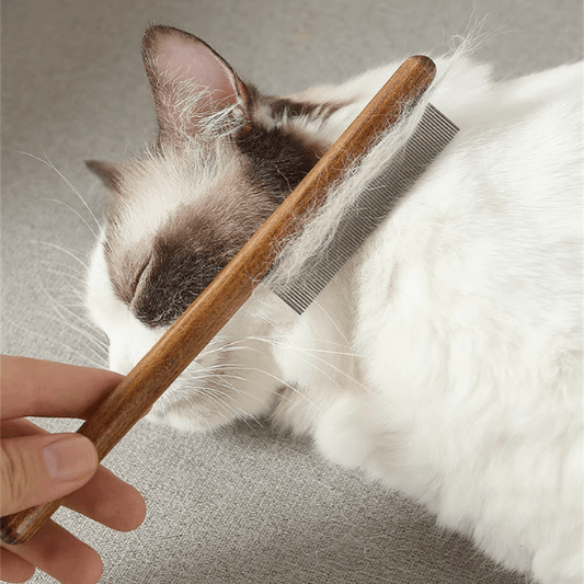 Peigne anti poux | Komby™ - Ambiance chat