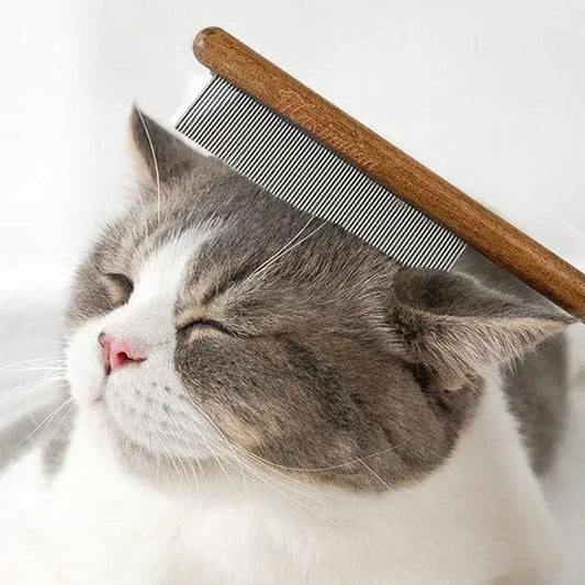 Peigne anti poux | Komby™ - Ambiance chat