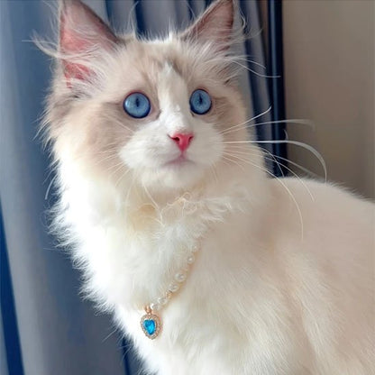Collier chat | Perly™