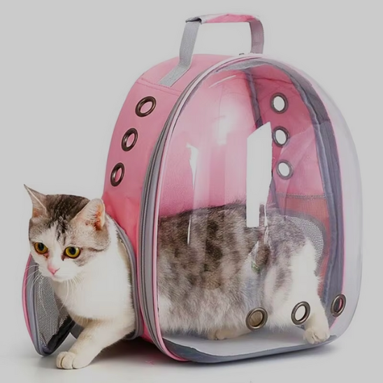 Sac de transport pour chat | Baggy™