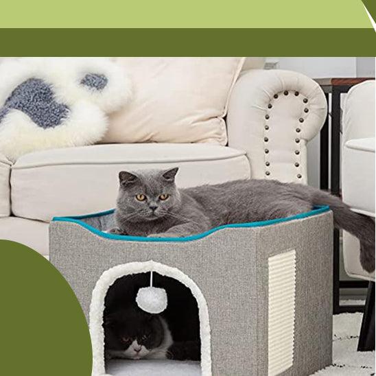 Maison pour chat | ScratchingHouse™ - L’ambiance chat