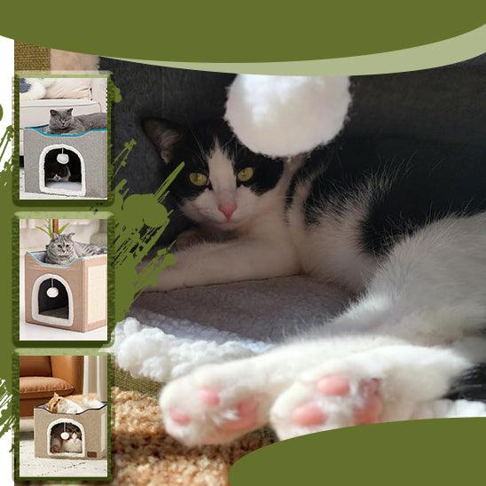 Maison pour chat | ScratchingHouse™ - L’ambiance chat